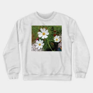 Dainty Garden Flowers Crewneck Sweatshirt